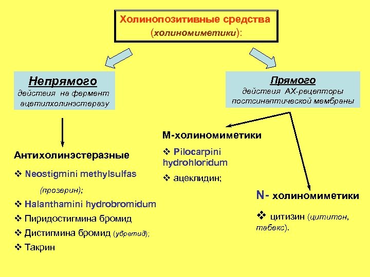 Холинопозитивные средства (холиномиметики): Прямого Непрямого действия АХ-рецепторы постсинаптической мембраны действия на фермент ацетилхолинэстеразу М-холиномиметики