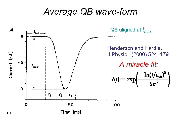 Average QB wave-form QB aligned at tmax Henderson and Hardie, J. Physiol. (2000) 524,