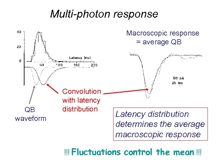Multi-photon response Macroscopic response = average QB QB waveform Convolution with latency distribution Latency