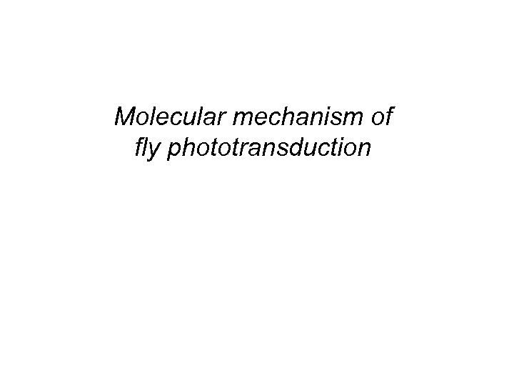 Molecular mechanism of fly phototransduction 