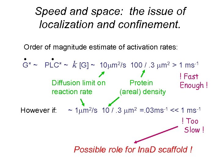 Speed and space: the issue of localization and confinement. Order of magnitude estimate of