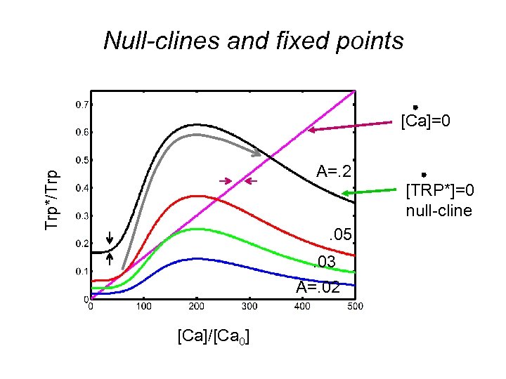 Null-clines and fixed points [Ca]=0 Trp*/Trp A=. 2 [TRP*]=0 null-cline. 05. 03 A=. 02