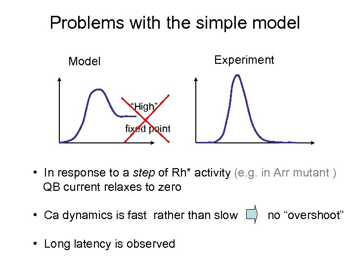 Problems with the simple model Experiment Model “High” fixed point • In response to