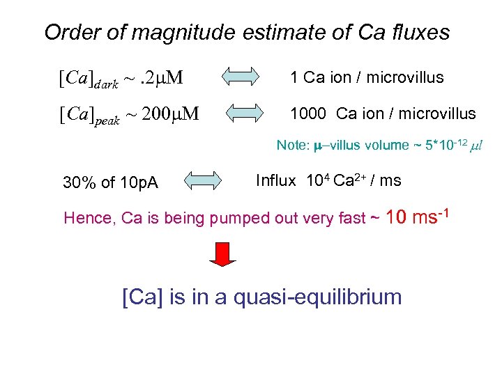 Order of magnitude estimate of Ca fluxes [Ca]dark ~. 2 m. M 1 Ca