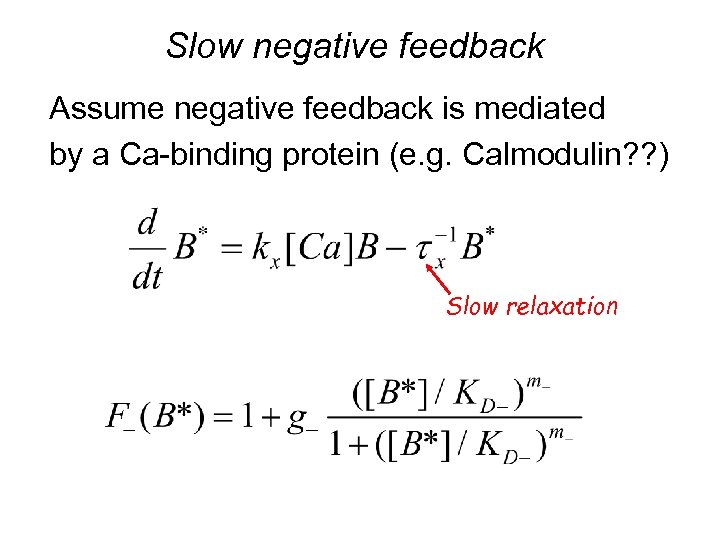 Slow negative feedback Assume negative feedback is mediated by a Ca-binding protein (e. g.