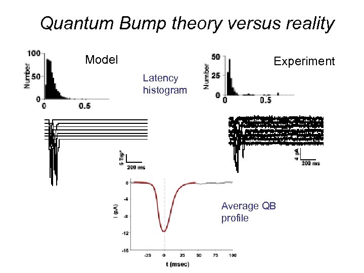 Quantum Bump theory versus reality Model Experiment Latency histogram Average QB profile 
