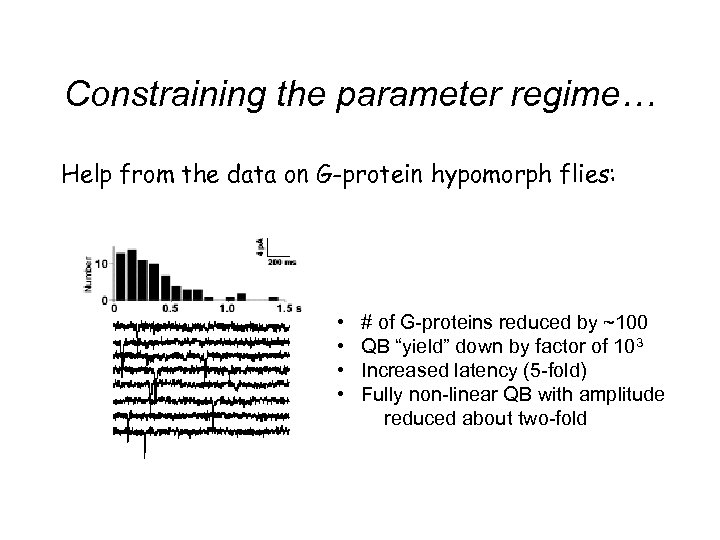 Constraining the parameter regime… Help from the data on G-protein hypomorph flies: • •
