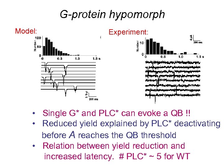 G-protein hypomorph Model: Experiment: • Single G* and PLC* can evoke a QB !!