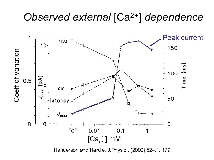 Observed external [Ca 2+] dependence Coeff of variation Peak current [Caext] m. M Henderson