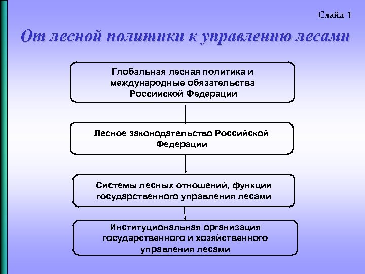 Слайд 1 От лесной политики к управлению лесами Глобальная лесная политика и международные обязательства