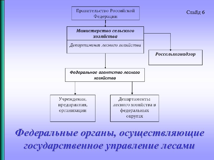 Слайд 6 Федеральные органы, осуществляющие государственное управление лесами 