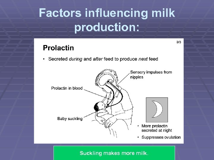 Factors influencing milk production: SF/2009 Suckling makes more milk. 