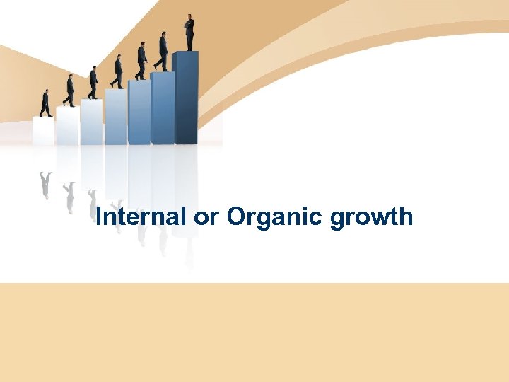 Internal or Organic growth 