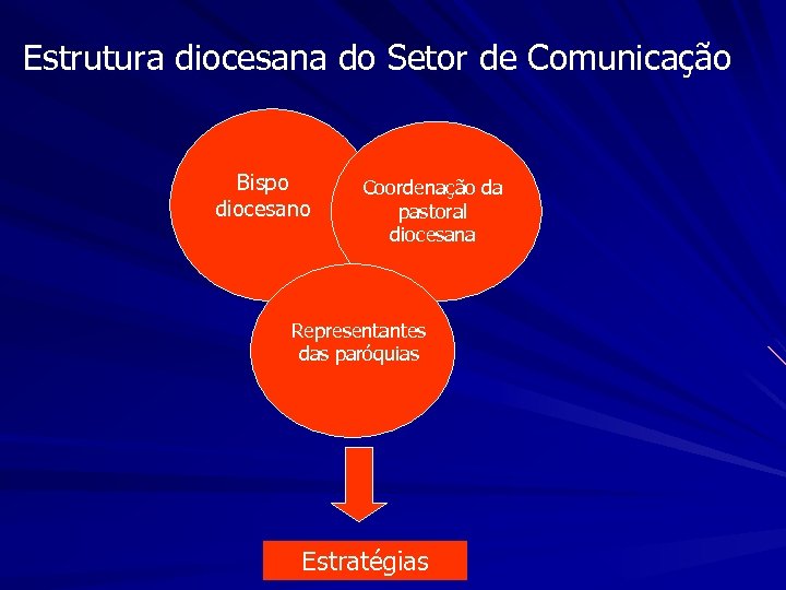 Estrutura diocesana do Setor de Comunicação Bispo diocesano Coordenação da pastoral diocesana Representantes das