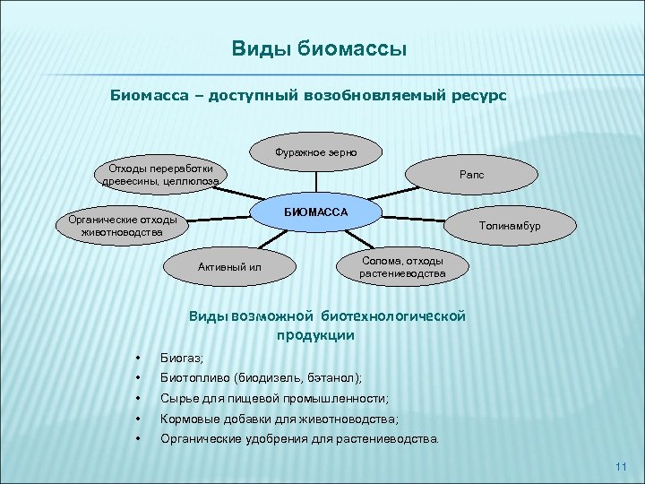 Виды биомассы Биомасса – доступный возобновляемый ресурс Фуражное зерно Отходы переработки древесины, целлюлоза Рапс
