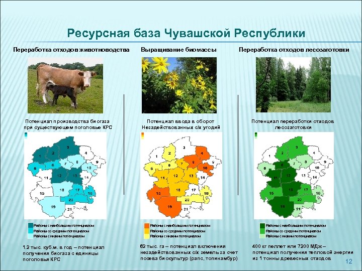 Ресурсная база Чувашской Республики Переработка отходов животноводства Потенциал производства биогаза при существующем поголовье КРС