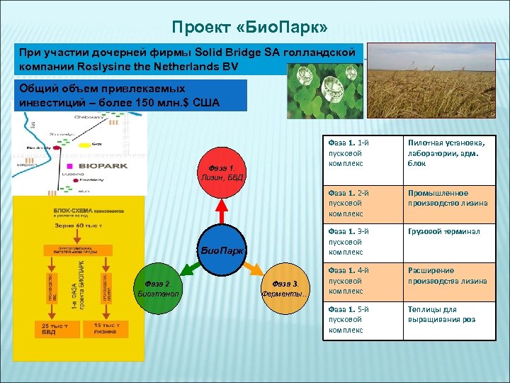 Проект «Био. Парк» При участии дочерней фирмы Solid Bridge SA голландской компании Roslysine the
