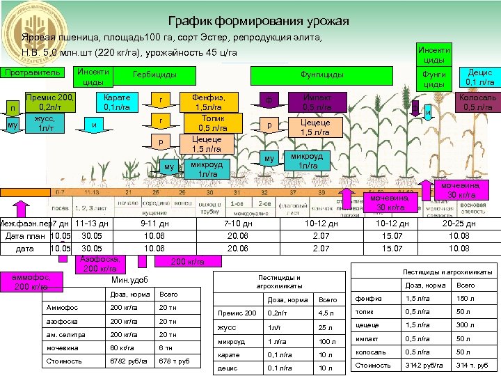 График формирования урожая Яровая пшеница, площадь100 га, сорт Эстер, репродукция элита, Инсекти циды Н.