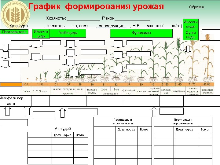 График формирования урожая Хозяйство_______ Район________ Образец Инсекти Культура_______, площадь___ га, сорт ___, репродукция __,