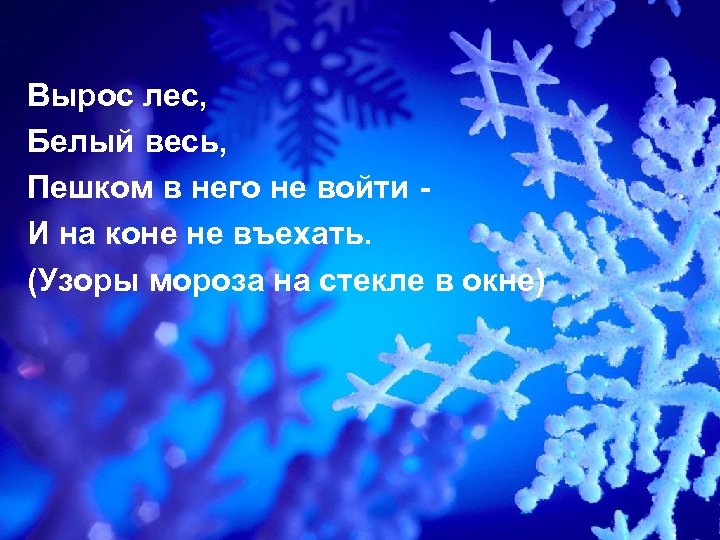 Вырос лес, Белый весь, Пешком в него не войти И на коне не въехать.