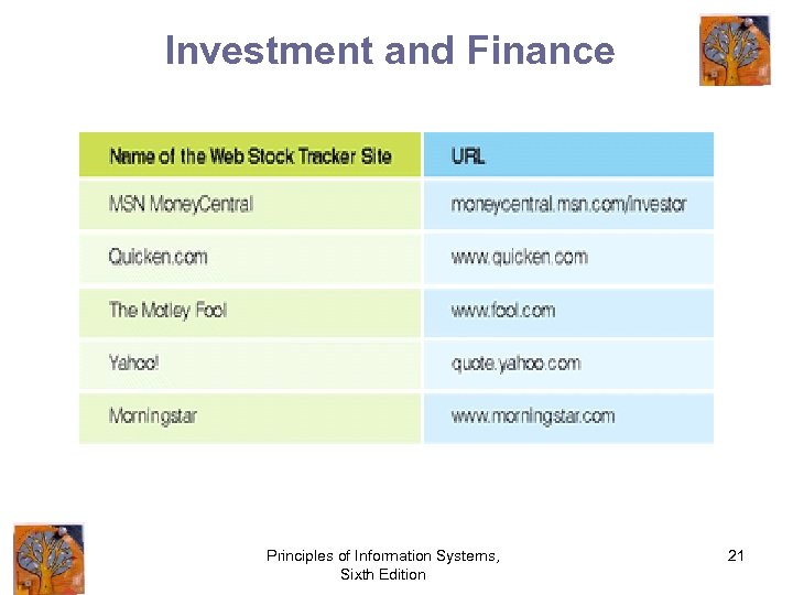 Investment and Finance Principles of Information Systems, Sixth Edition 21 