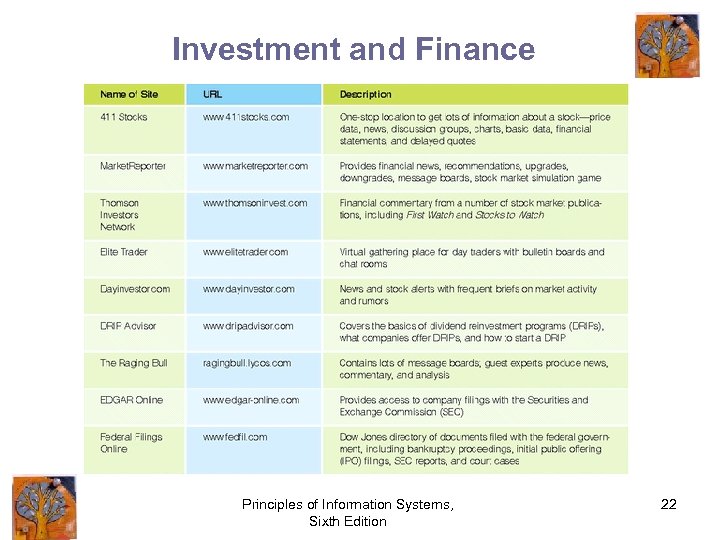 Investment and Finance Principles of Information Systems, Sixth Edition 22 
