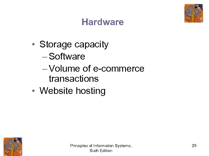 Hardware • Storage capacity – Software – Volume of e-commerce transactions • Website hosting