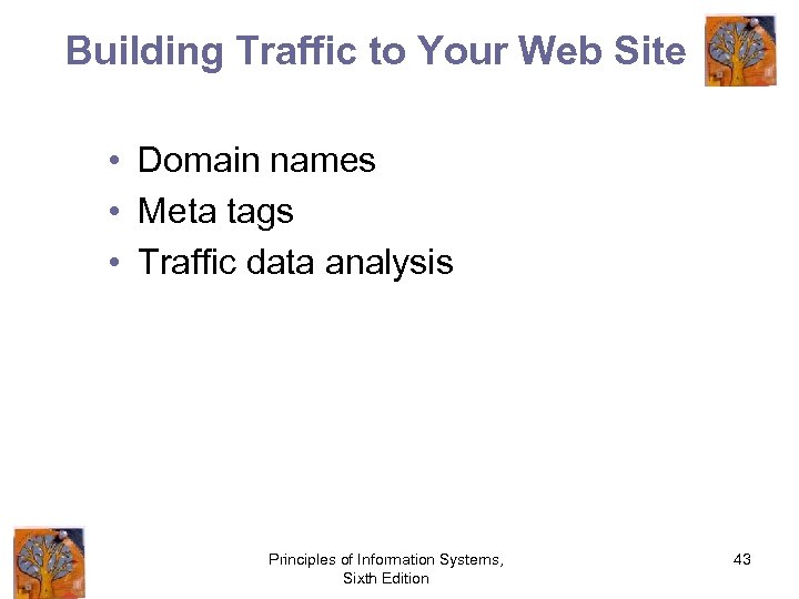 Building Traffic to Your Web Site • Domain names • Meta tags • Traffic