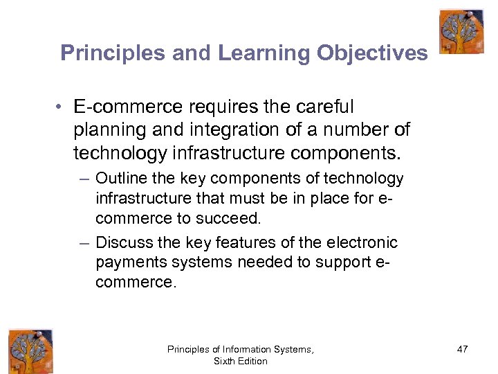 Principles and Learning Objectives • E-commerce requires the careful planning and integration of a