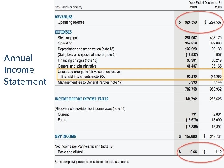 Annual Income Statement 