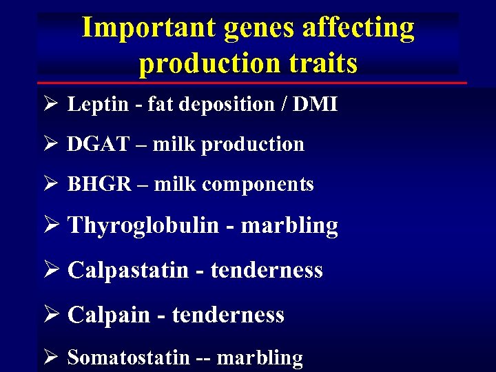 Important genes affecting production traits Ø Leptin - fat deposition / DMI Ø DGAT