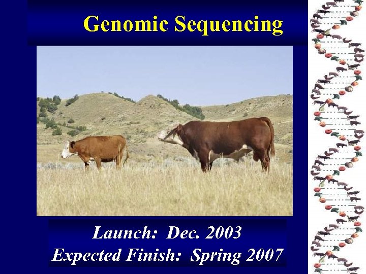 Genomic Sequencing Launch: Dec. 2003 Expected Finish: Spring 2007 