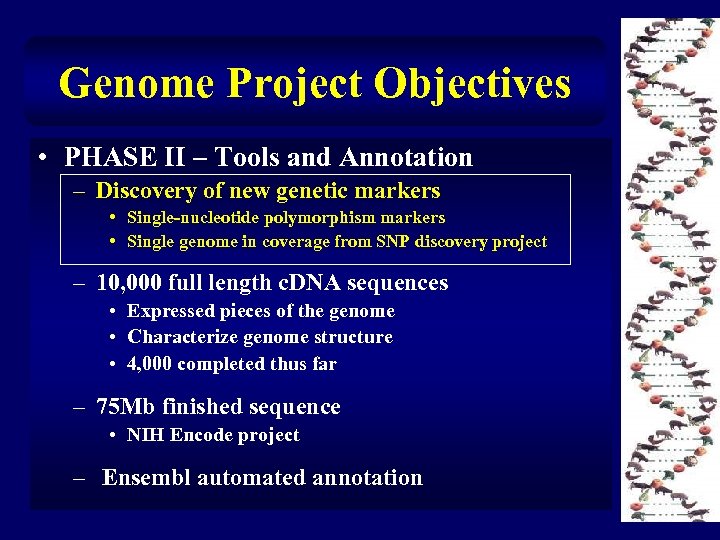 Genome Project Objectives • PHASE II – Tools and Annotation – Discovery of new