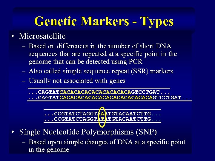 Genetic Markers - Types • Microsatellite – Based on differences in the number of