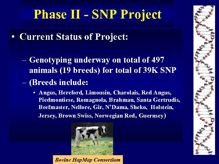 Phase II - SNP Project • Current Status of Project: – Genotyping underway on