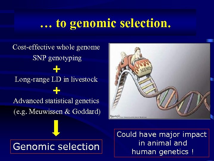 … to genomic selection. Cost-effective whole genome SNP genotyping + Long-range LD in livestock