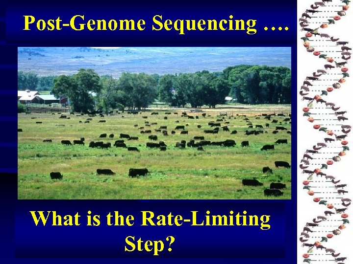 Post-Genome Sequencing …. What is the Rate-Limiting Step? 