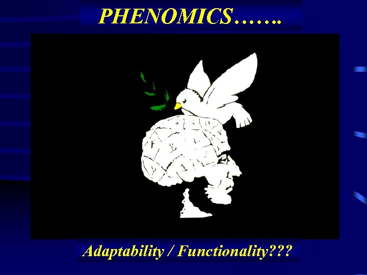 PHENOMICS……. Adaptability / Functionality? ? ? 