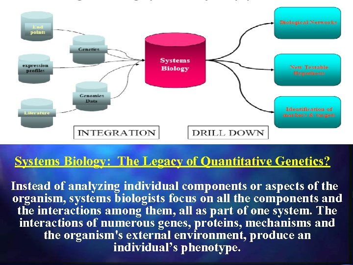  Systems Biology: The Legacy of Quantitative Genetics? Instead of analyzing individual components or