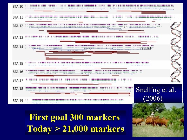 Snelling et al. (2006) First goal 300 markers Today > 21, 000 markers 