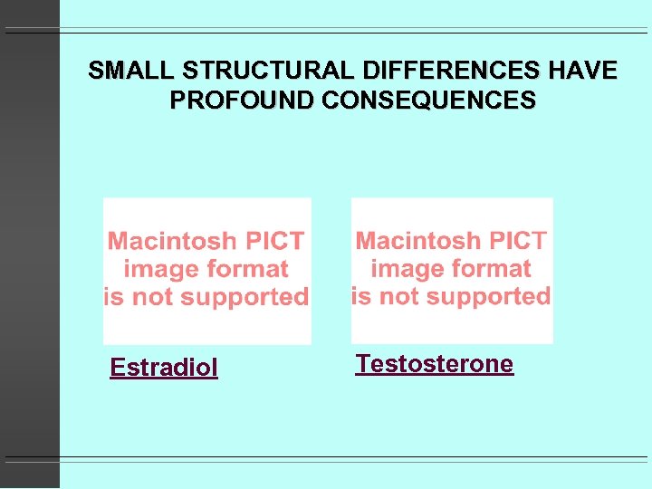 SMALL STRUCTURAL DIFFERENCES HAVE PROFOUND CONSEQUENCES Estradiol Testosterone 