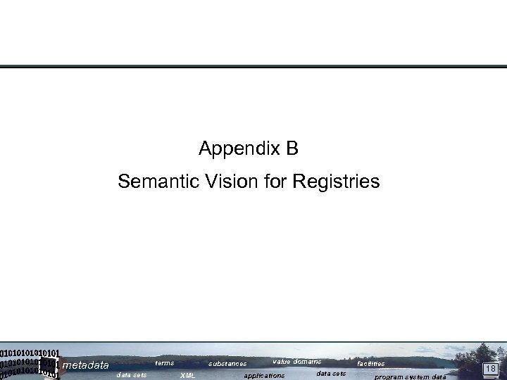 Appendix B Semantic Vision for Registries metadata terms data sets substances XML value domains