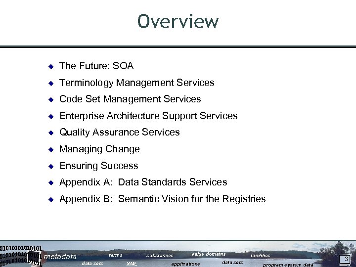 Overview ¿ The Future: SOA ¿ Terminology Management Services ¿ Code Set Management Services