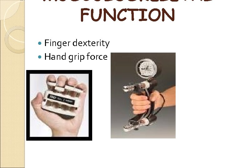 MUSCULOSKELETAL FUNCTION Finger dexterity Hand grip force 