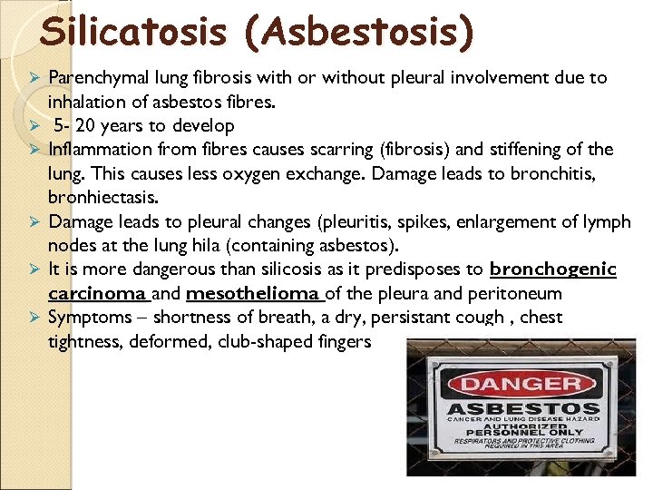 Silicatosis (Asbestosis) Ø Ø Ø Parenchymal lung fibrosis with or without pleural involvement due