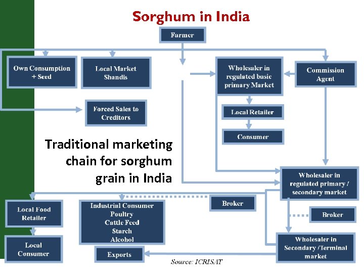 Sorghum in India Traditional marketing chain for sorghum grain in India 