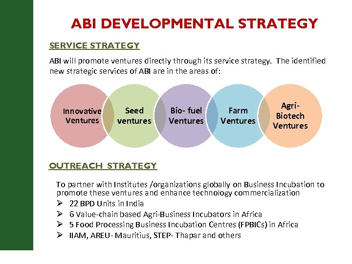 ABI DEVELOPMENTAL STRATEGY SERVICE STRATEGY ABI will promote ventures directly through its service strategy.