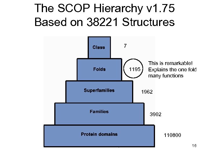 The SCOP Hierarchy v 1. 75 Based on 38221 Structures 7 1195 This is