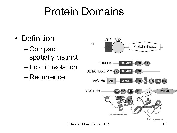 Protein Domains • Definition – Compact, spatially distinct – Fold in isolation – Recurrence