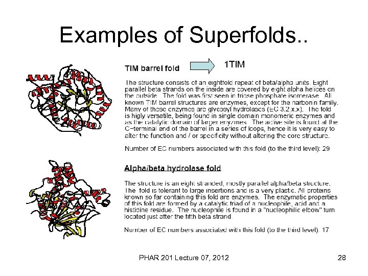 Examples of Superfolds. . 1 TIM PHAR 201 Lecture 07, 2012 28 